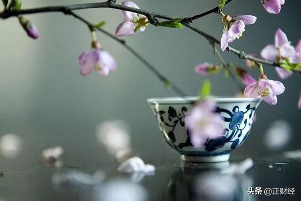 代购到底是一种什么行业,代购行业真实现状