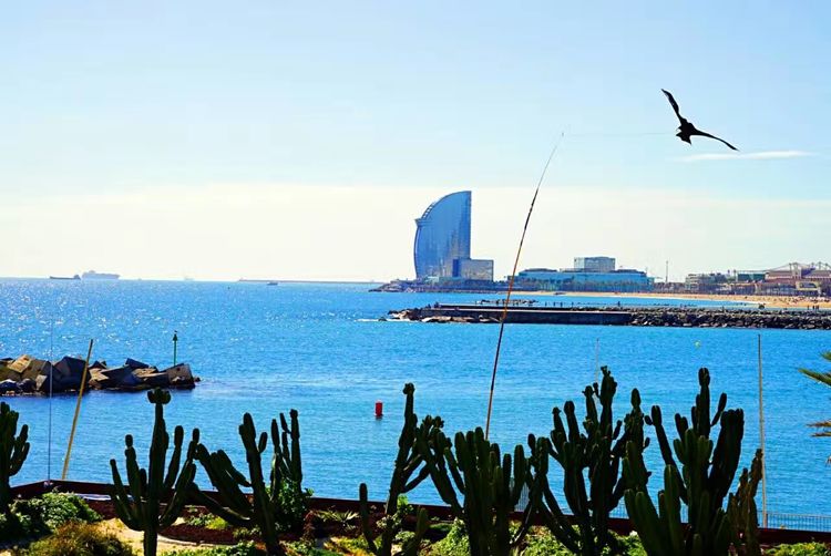 葡萄牙和西班牙哪个值得旅游,西班牙和葡萄牙旅游区别