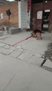 玉米地发现不明液体怎么办,玉米地发现的怪事