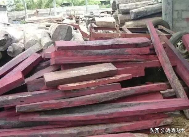真正的小叶紫檀木材,大叶紫檀红木百科