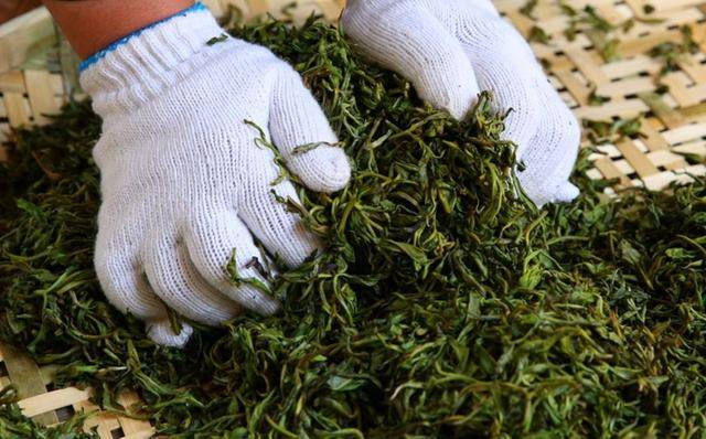 普洱生茶工艺流程,普洱生茶的制作工序讲解