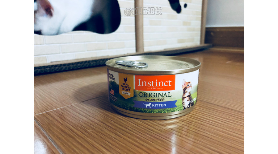 k9幼猫罐头推荐,k9巅峰猫粮