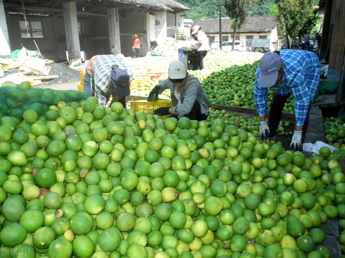 开店怎么拿货饰品,开店进货渠道技巧