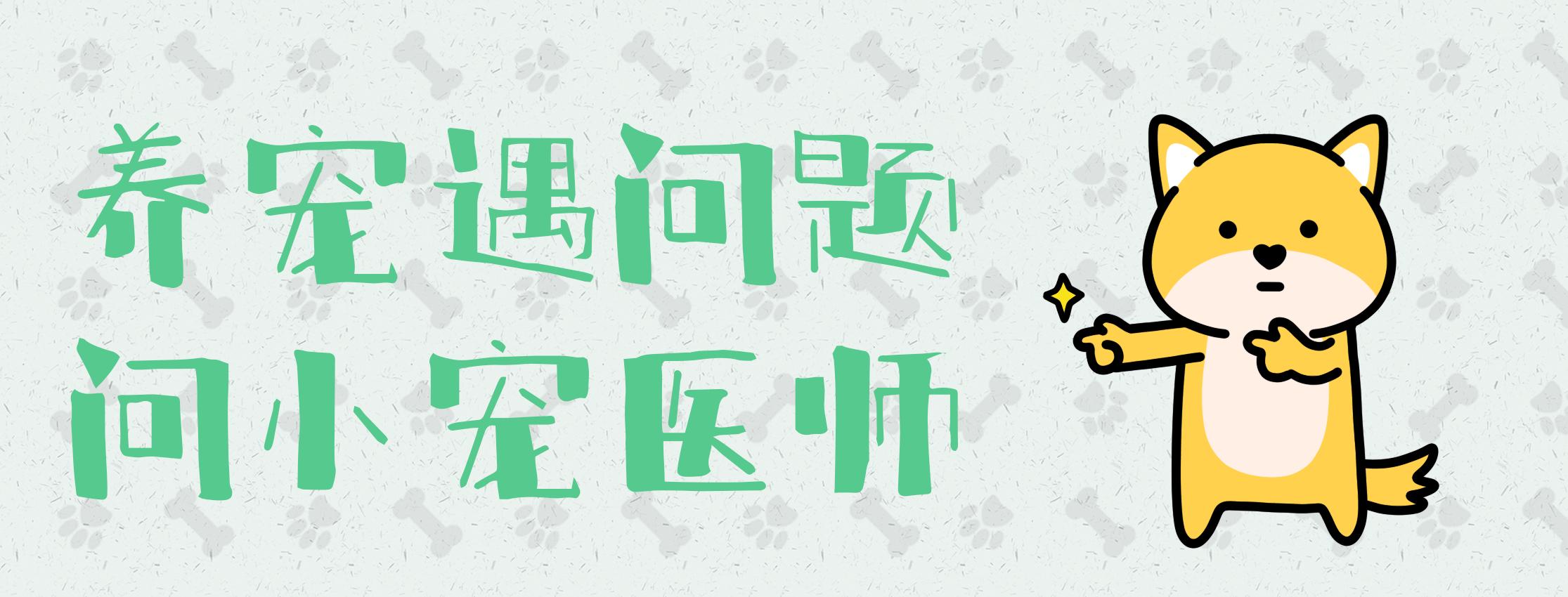 狗狗便血一般是什么原因,狗狗便血是感染哪种寄生虫