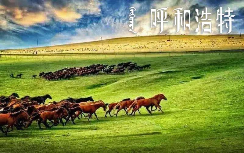 高歌曼舞,高歌舞蹈培训班