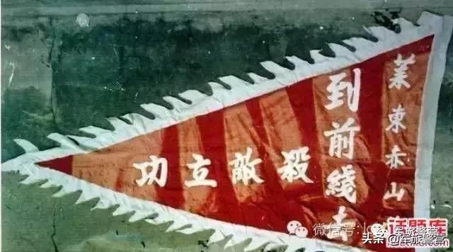 国家一级文物木头,国家一级物品