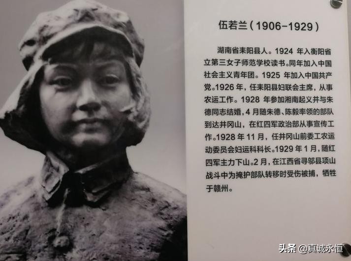 敌人将她的头颅割下，挂在赣州城门上示众，向井冈烈士伍若兰致敬