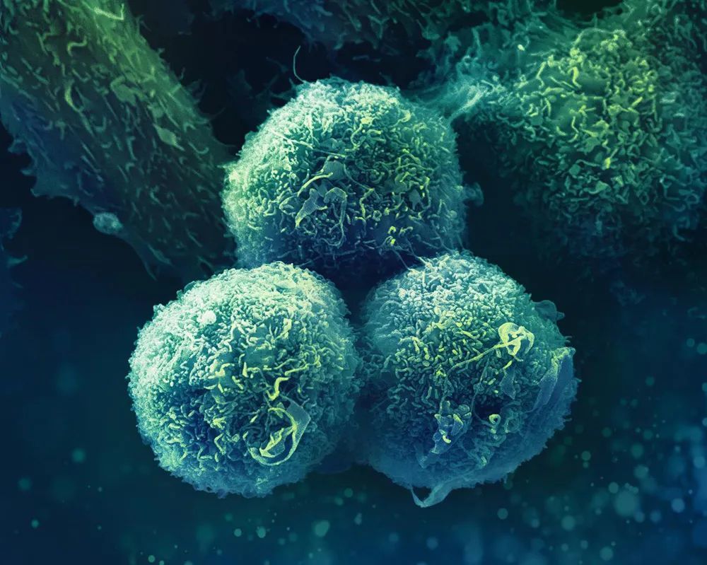 新冠国内特效药,新冠有效药最新消息