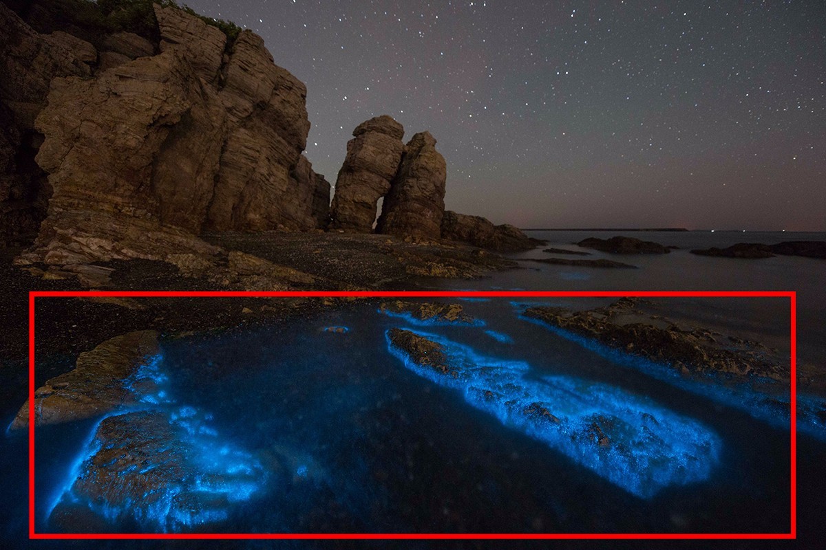 夜光海后期拍摄攻略,夜光海后期拍摄技巧