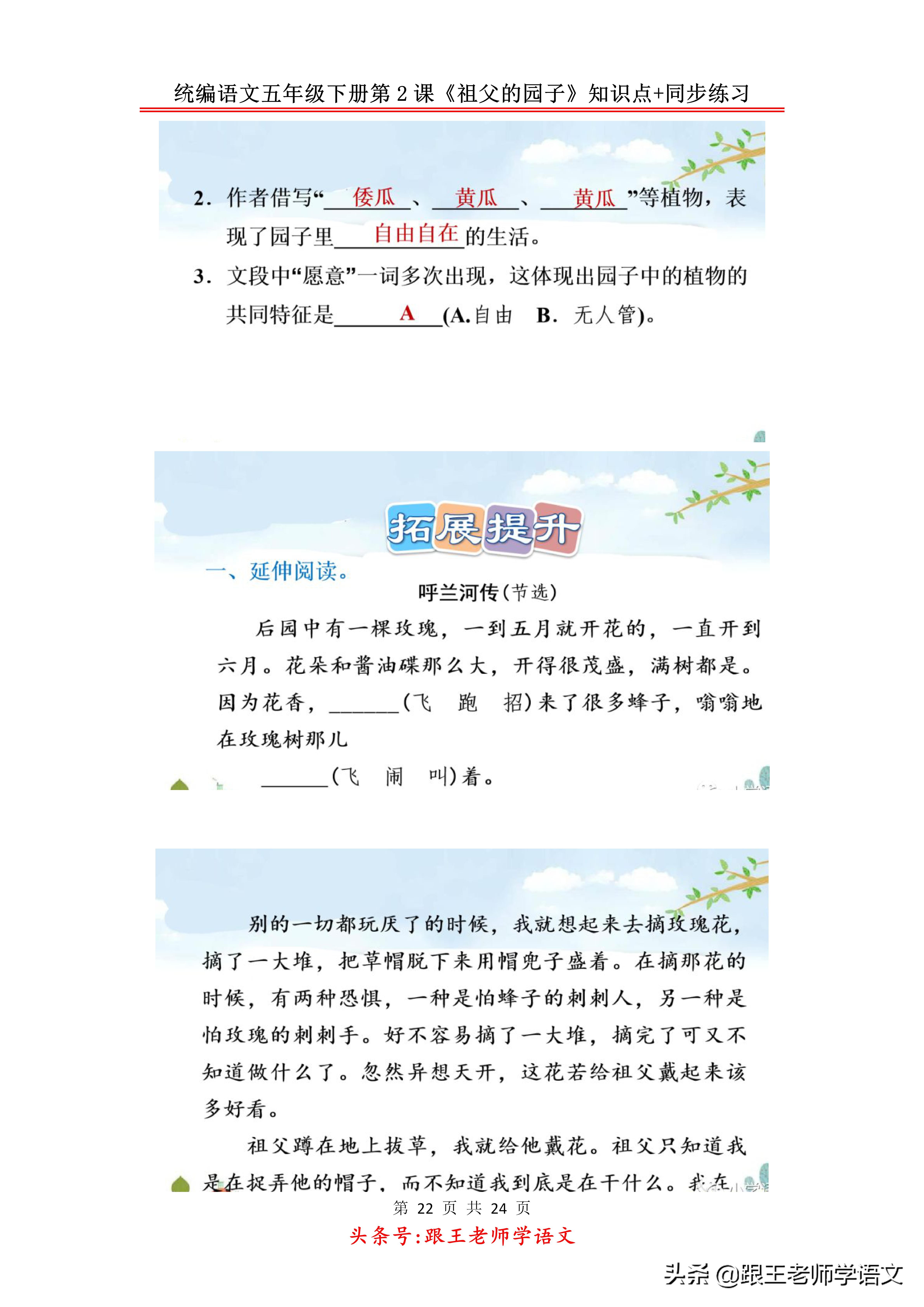 五下语文书祖父的园子预习笔记,五年级下册祖父的园子的好词好句