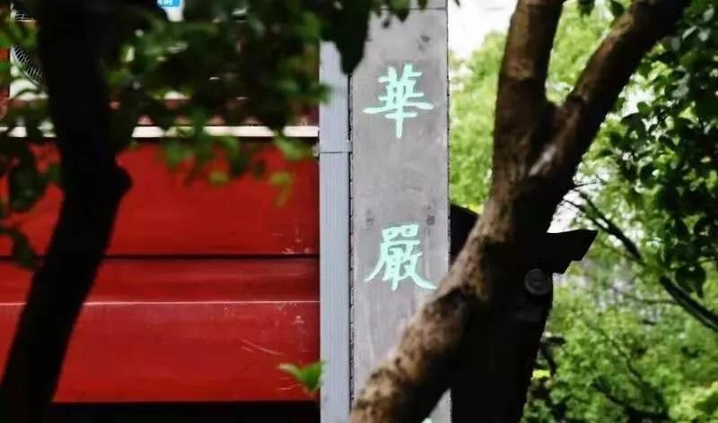 李李原型剃度出家又还俗,最近寺庙剃度出家全过程