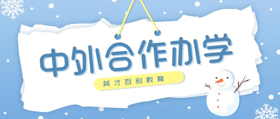 国际生申请中外合作办学,研究生有中外合作办学吗