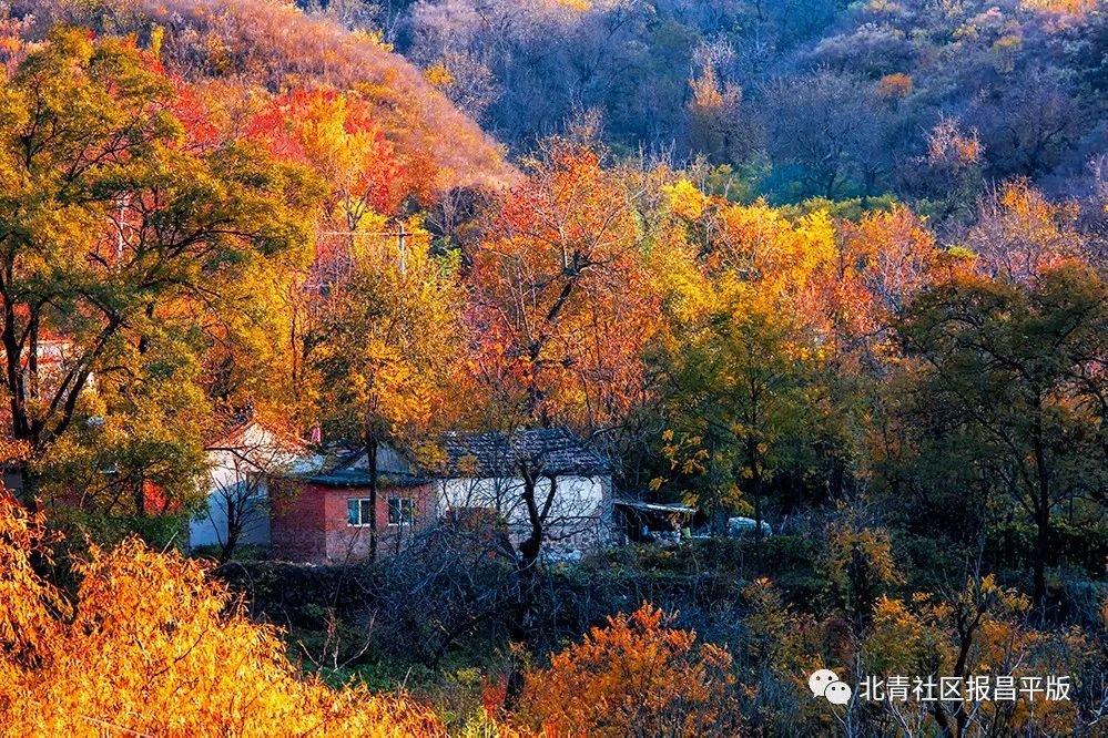 处暑将至暑渐消凉意至养生需讲究,处暑的节气特点处暑养生常识