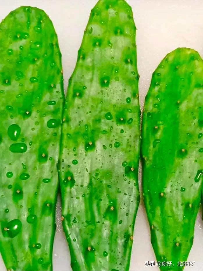 吃仙人掌十大禁忌,吃仙人掌有什么好处