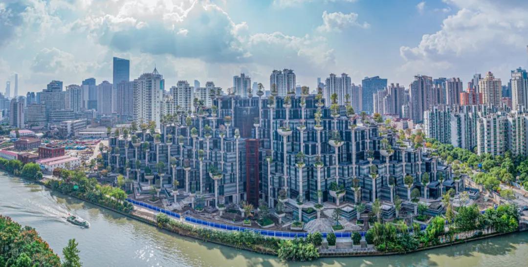 可盐可甜！“蝶变”中的普陀，你喜欢吗？