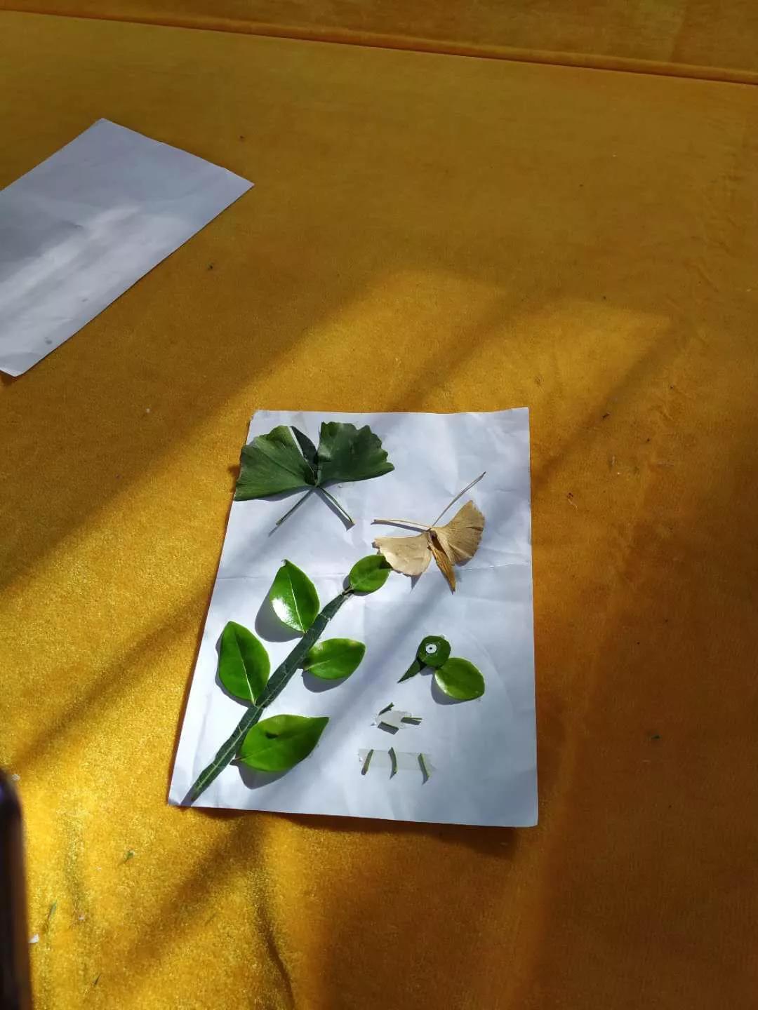 寺湾二小德育花开，香满校园