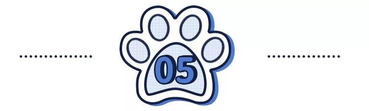 狗吃了柚子会怎样,狗吃柚子吐了