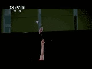 金秋诗画（学羽精华33.发力技巧）