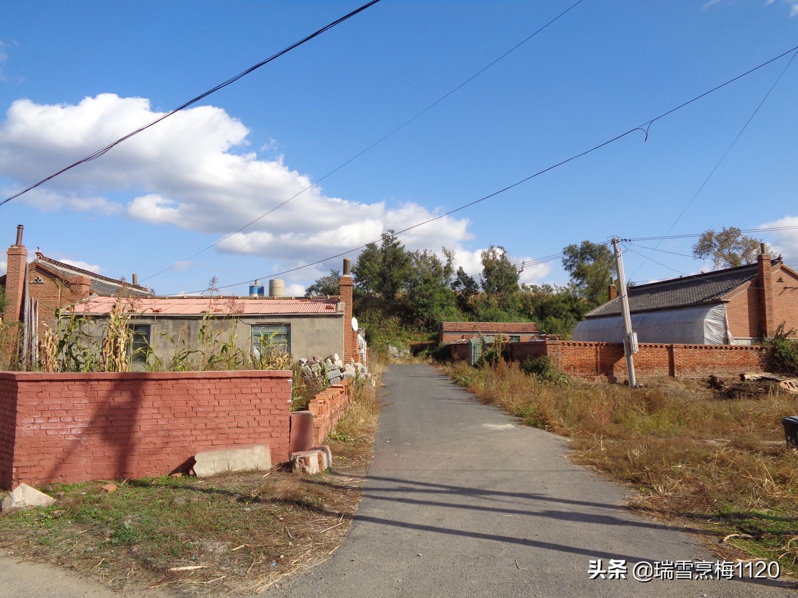 沈北新区依路村,沈北新区马刚乡地图