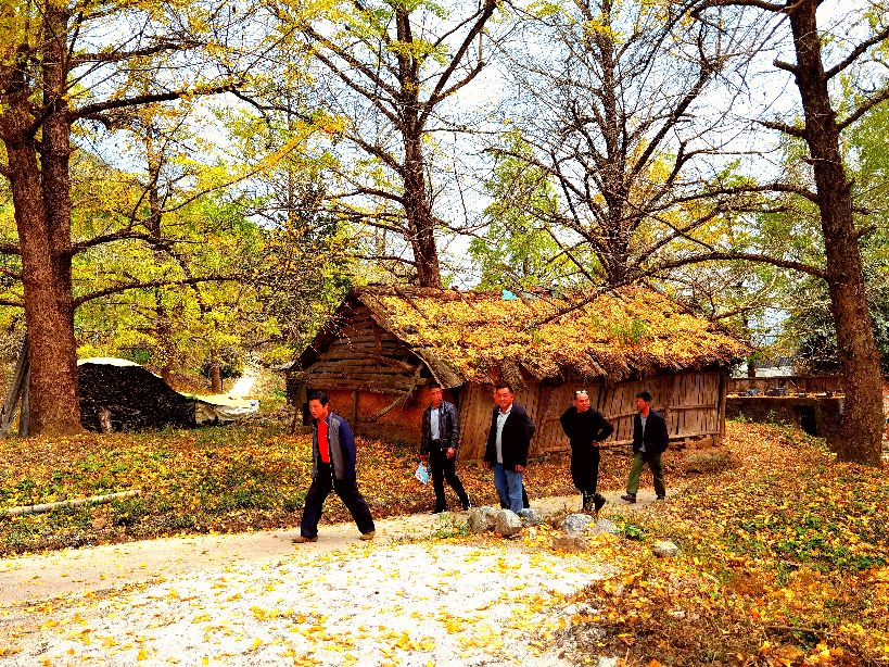 秋天的回忆完整版,秋天的回忆歌曲