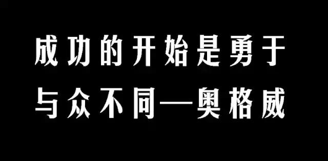 途鸟联盟—打可能的土豪，分未来的田地，打造物流行业的有赞！