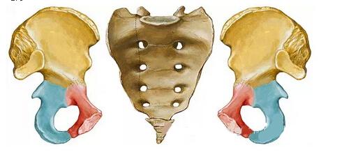 骑自行车尾巴骨疼痛是什么原因,少年尾巴骨疼痛是什么原因