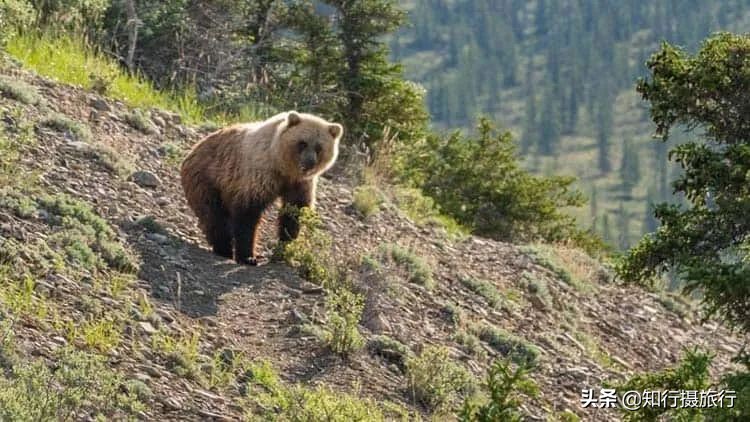 加拿大旅行41个最佳标志性景区目的地推荐攻略