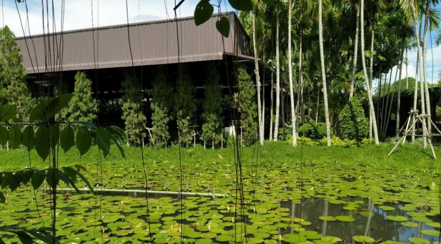 清迈性价比高的酒店推荐,在清迈的七种浪漫酒店