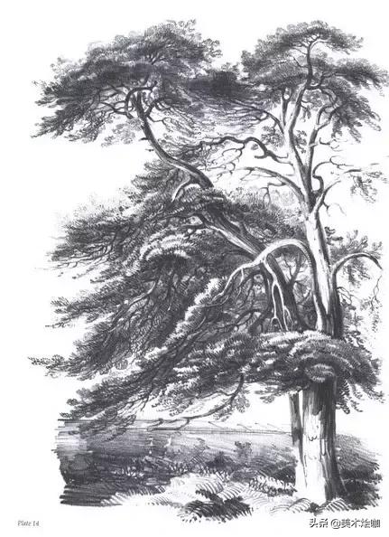 高清素描临摹风景图入门,素描画画教程7-12岁风景图