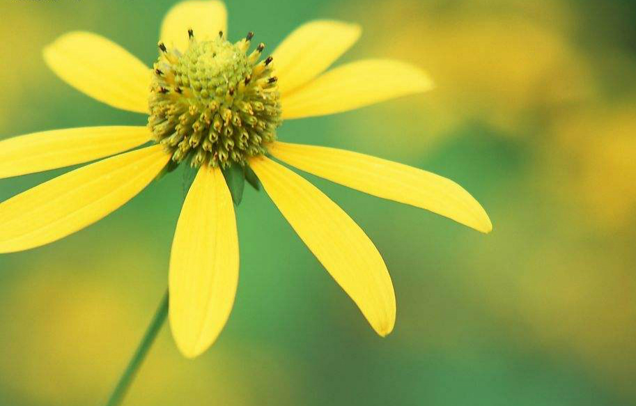 一个人成熟的最佳表现就是知世故,一个为人处事圆滑八面玲珑的人