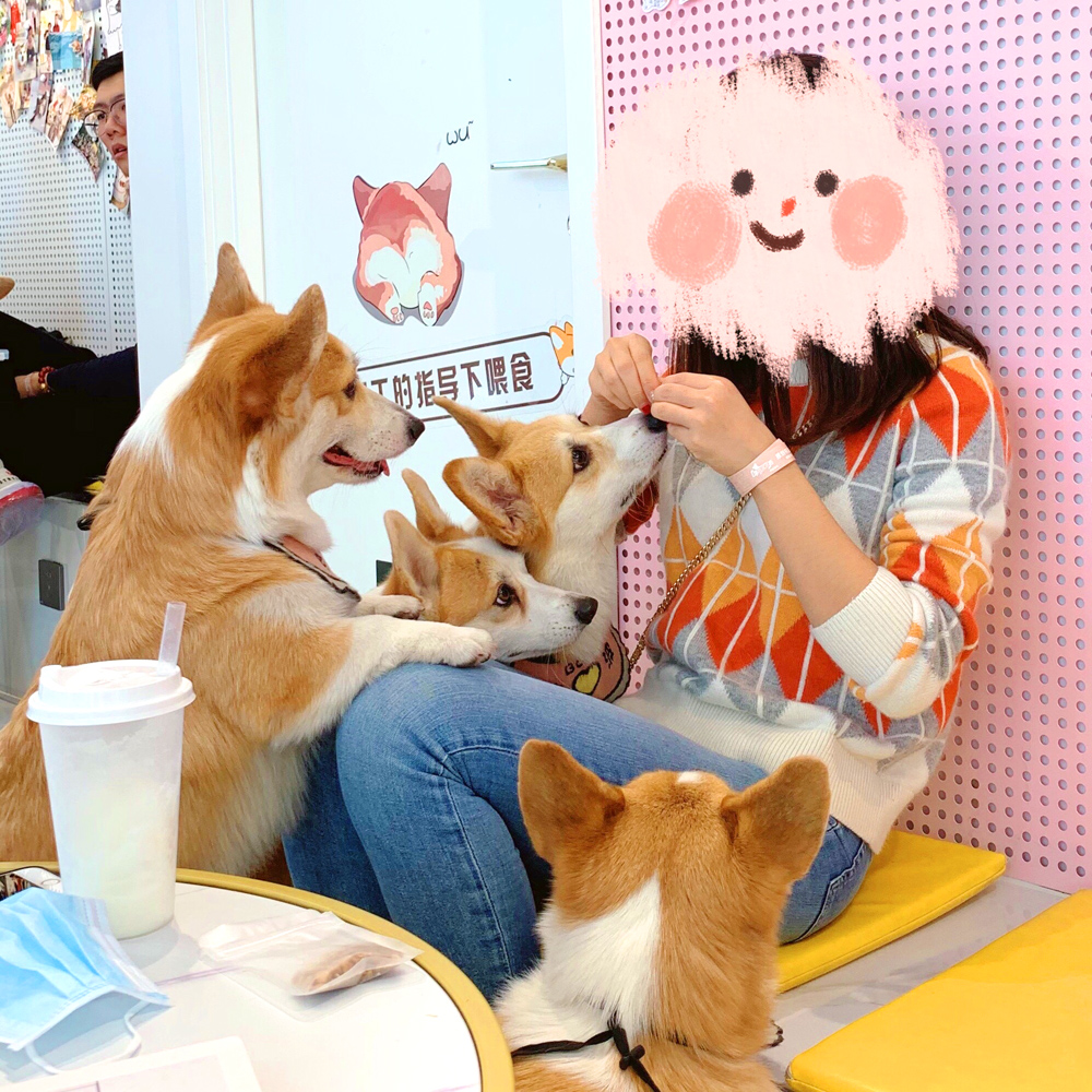 撸动物的网红店顺德,撸小动物的网红店北京世纪金源