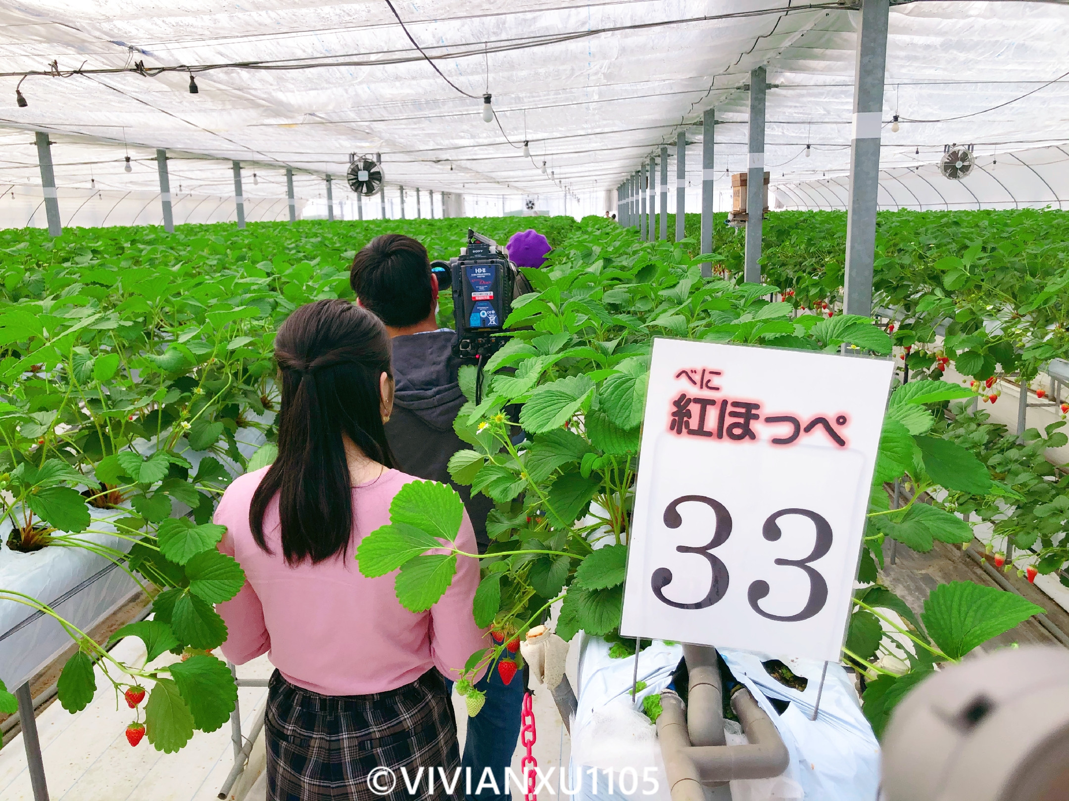 塑料母女深度解锁日本东北秋田县山形县