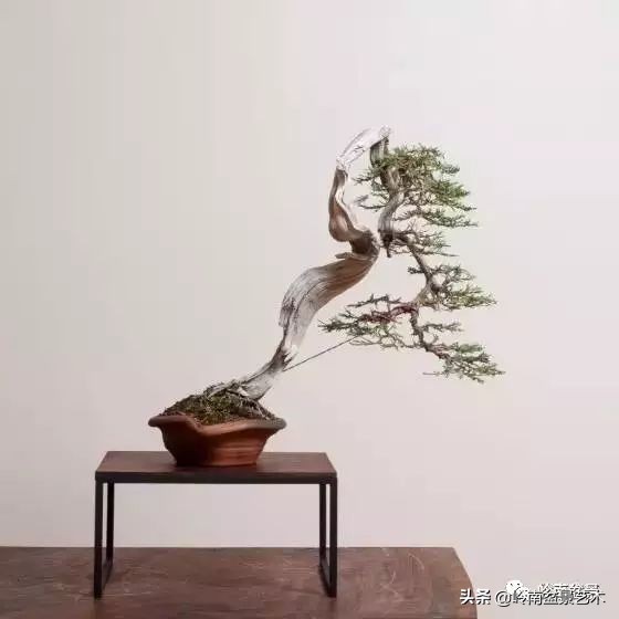 鎮礀缁濆閫㈢敓,鎮礀鐩嗘櫙澶у叏