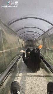 中国最美高铁线路沿途风景,中国最美高铁旅游线路