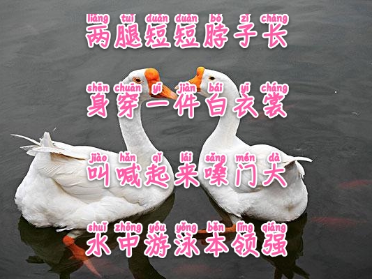 常与孩子猜谜100条儿童谜语建议,儿童睡前谜语简单易懂大全