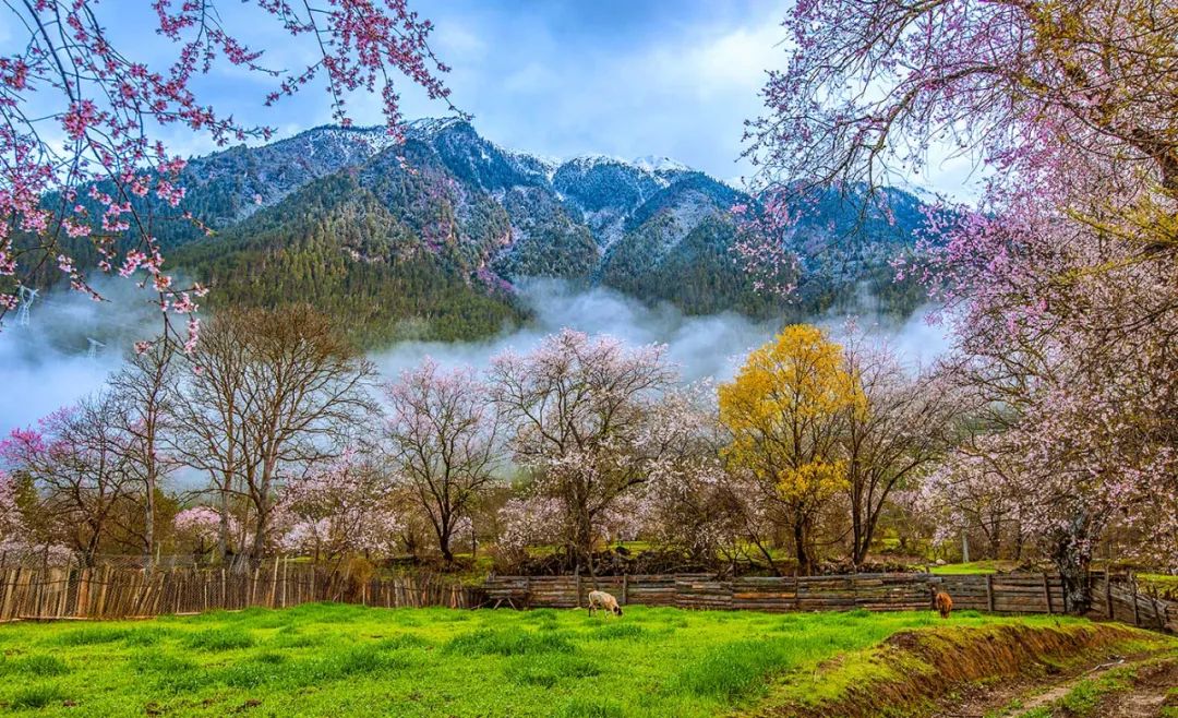 冬日的西藏才是人世间最美的天堂,西藏朝圣路上的美景