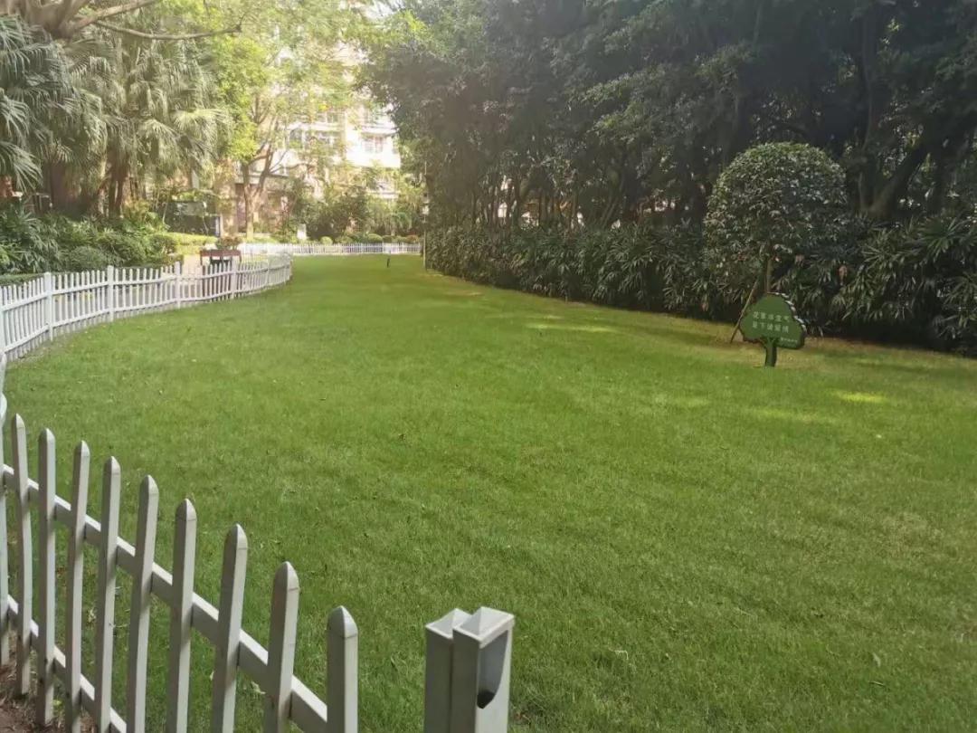 阳光棕榈园施工图,阳光棕榈园二期评测