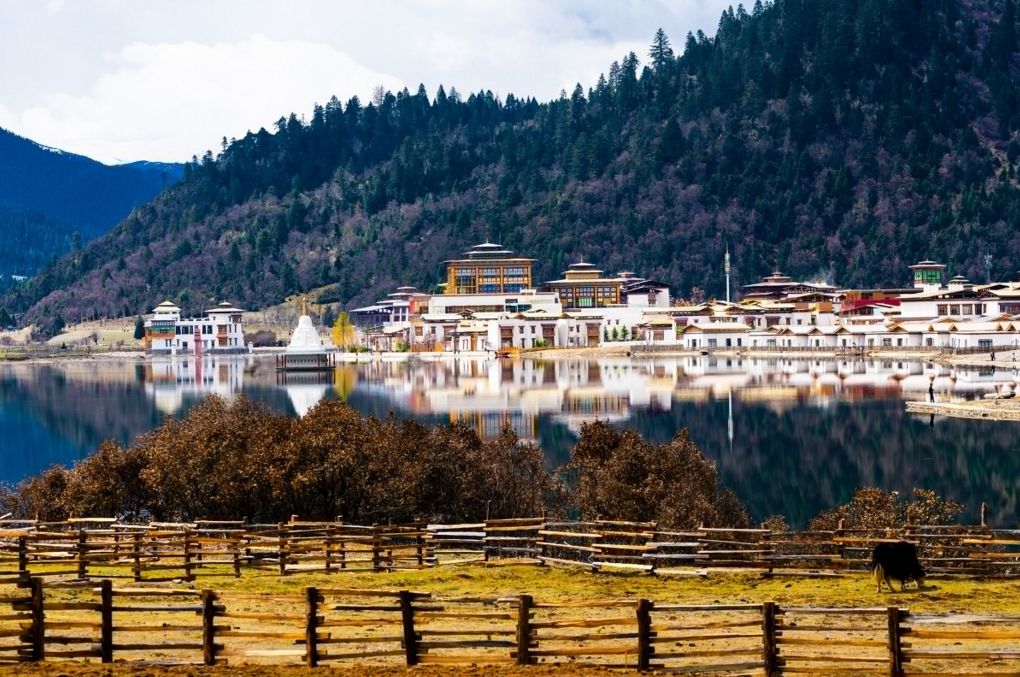 秋天最值得去的四个地方,秋天全部的风景