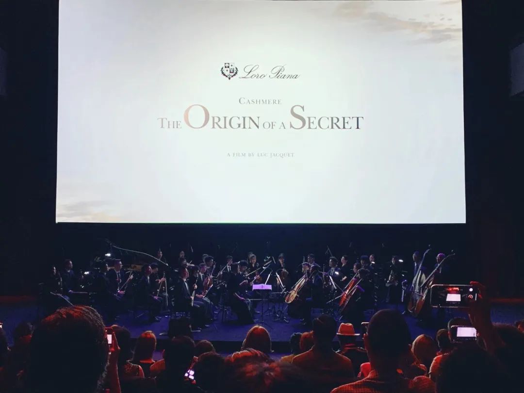 “穿着1万6的羊绒衫上班，老板夸我像章泽天”