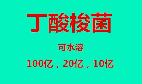 水产丁酸梭菌的正确用法,丁酸梭菌的用法用量