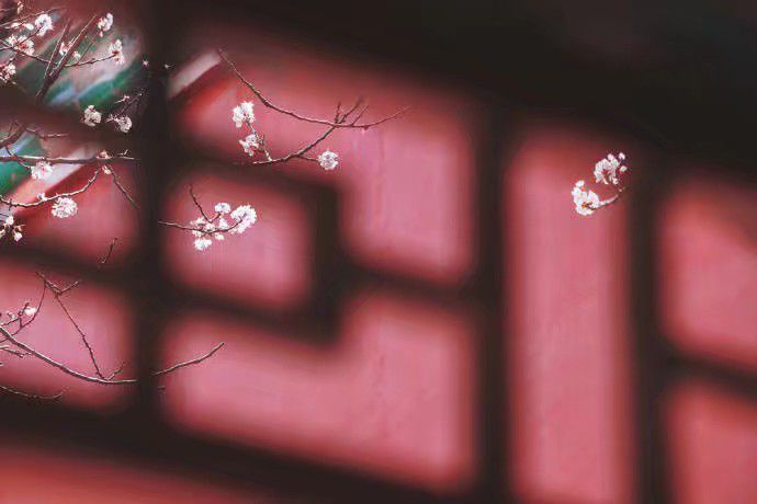 推纯爱文：无限流试炼游戏，谁能成为真正的赢家