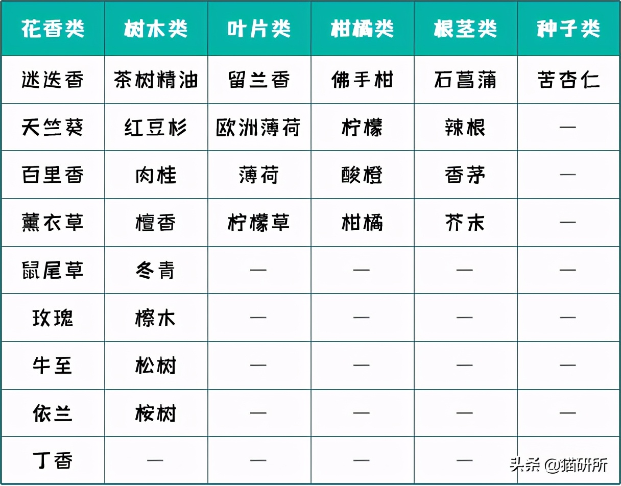什么精油对猫有危害,猫咪精油有必要用吗