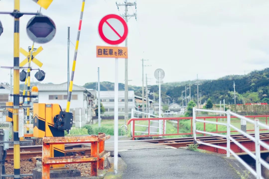 带着父母坐游轮到日本旅游,搭上邮轮去带着全家去旅行