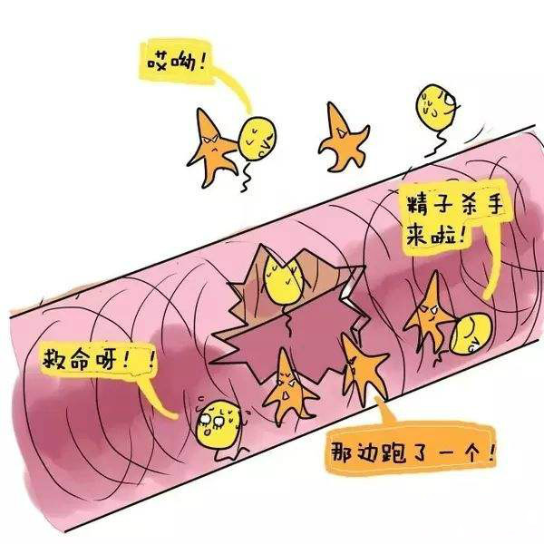 月经期间到底能不能同房？