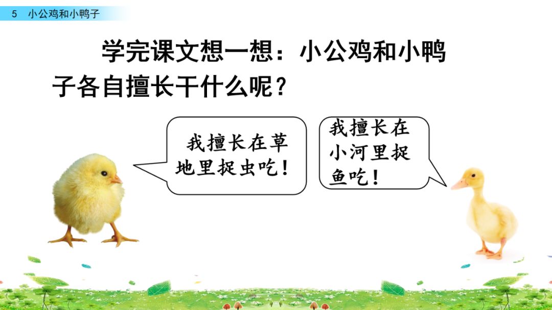 小公鸡和小鸭子一年级下册组词,一年级语文小公鸡和小鸭子复习