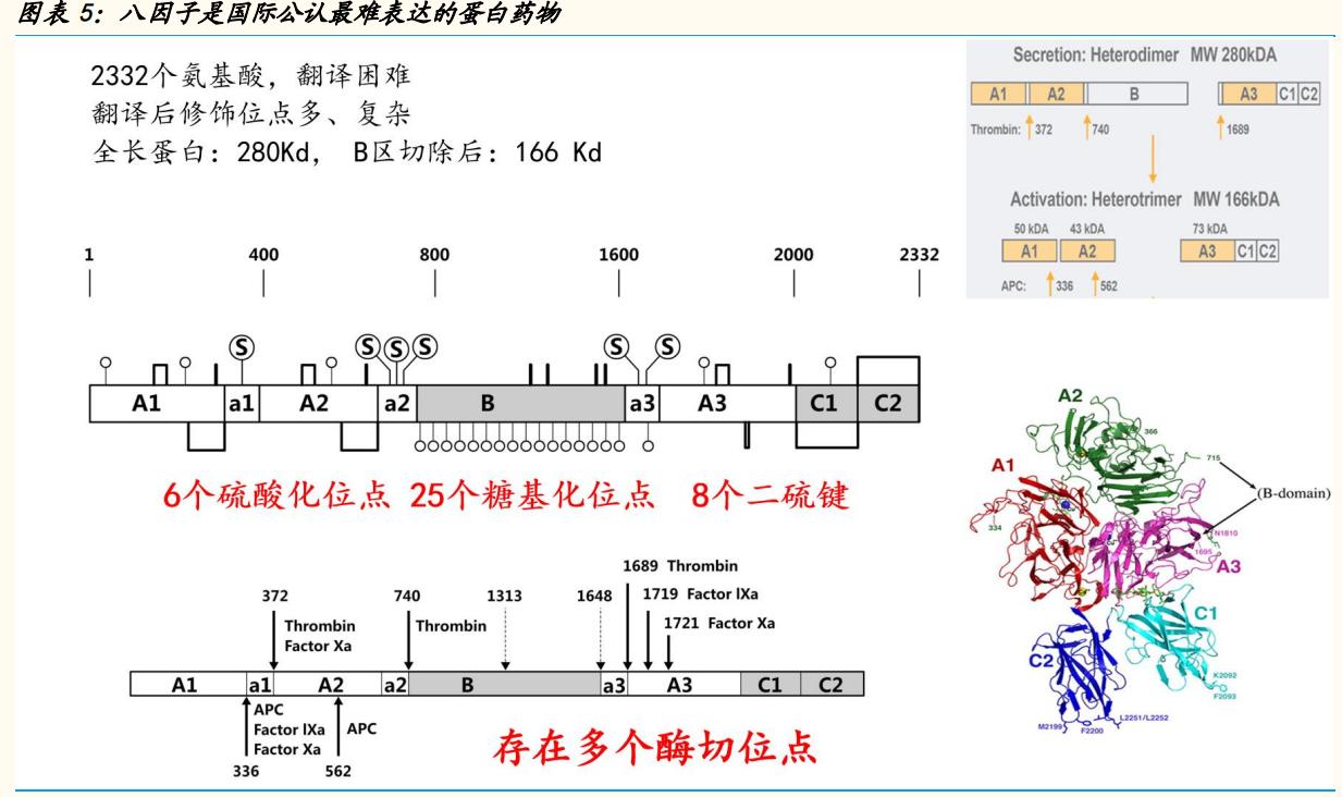 神州细胞重组八因子获批上市,神州细胞深度解读