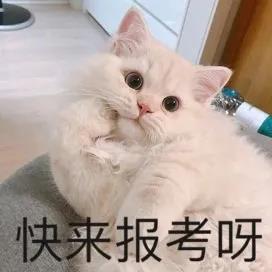 为什么考南邮,采访为什么要考研