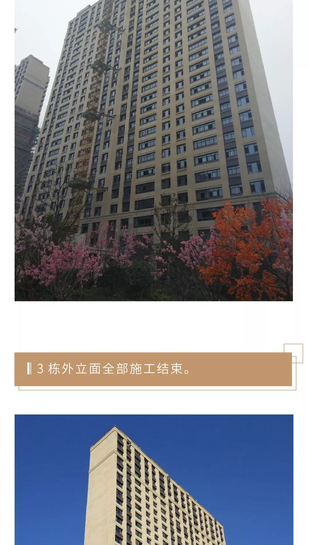 河西中房价,河西中豪宅