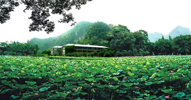 广东人少景美的小众旅行地,周末去哪里玩十大必去景点