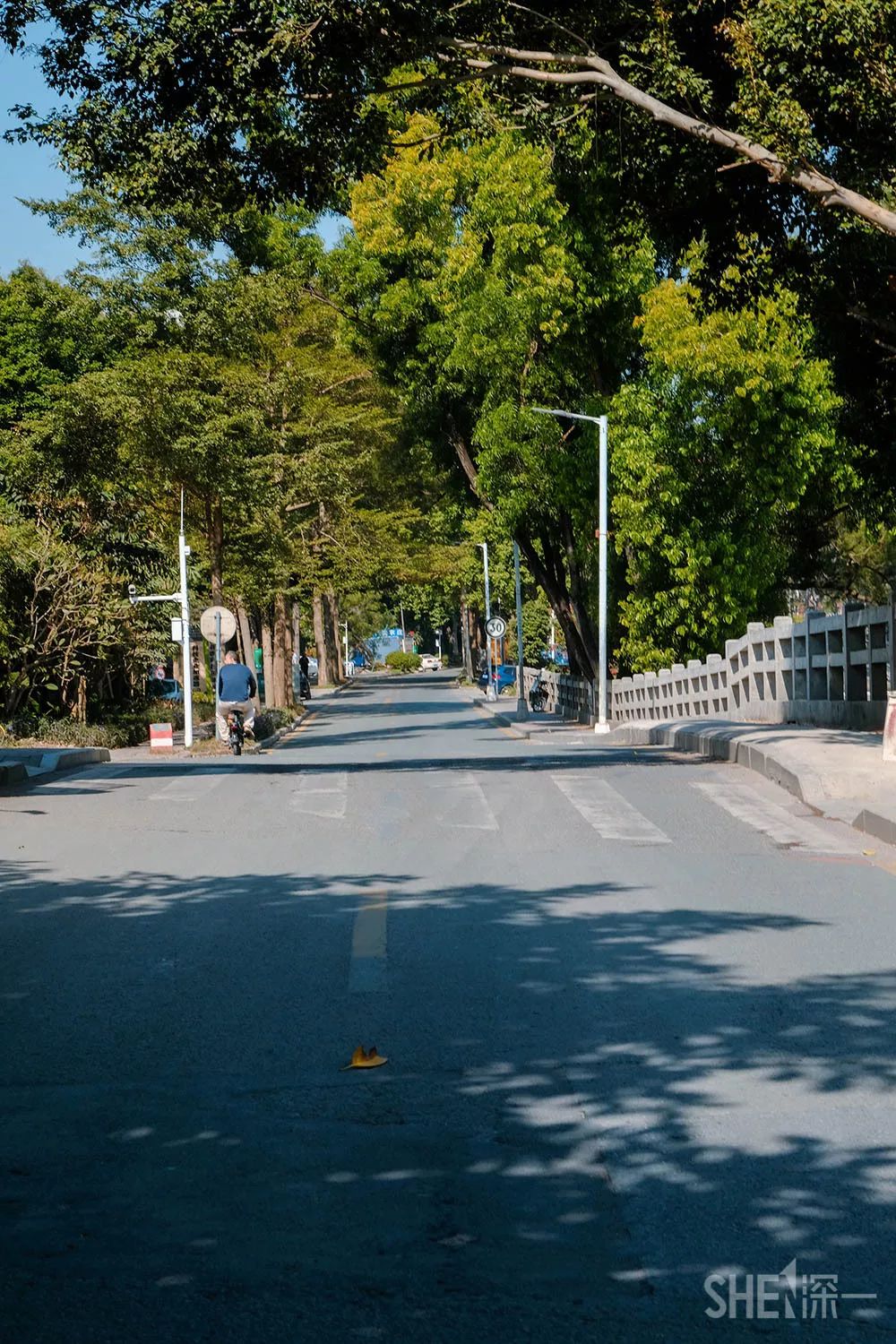 别总去大沙河了！深圳这条极少有人知道的河流，更神秘